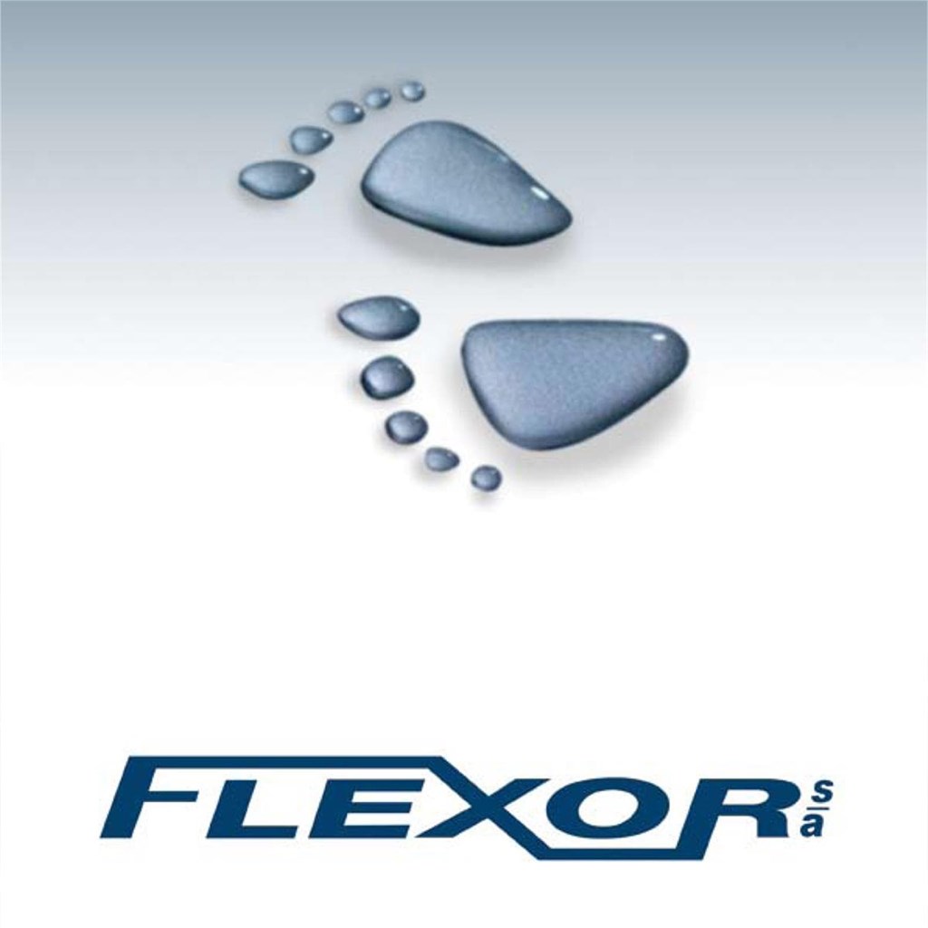 Foto 1 Flexor 2015