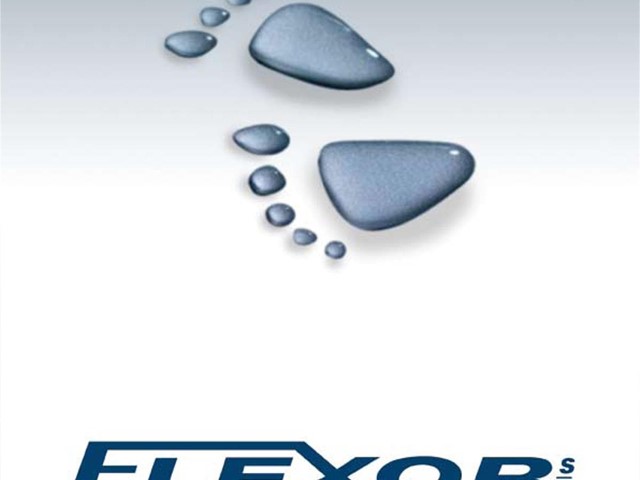 Flexor 2015